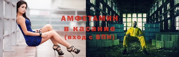 стаф Вяземский