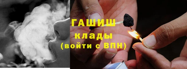 стаф Вяземский