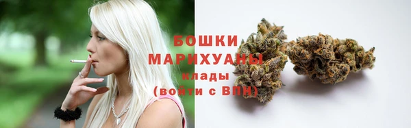 молекула духа Вязьма