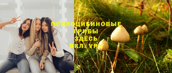 молекула духа Вязьма