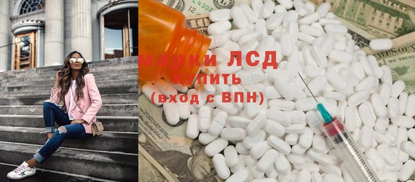 стаф Вяземский