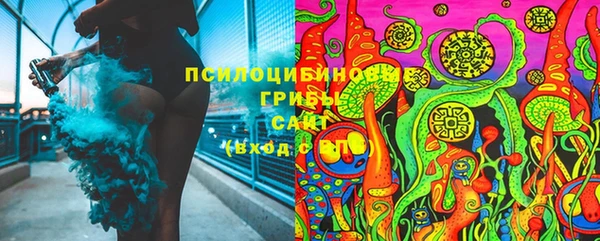молекула духа Вязьма