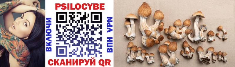 как найти закладки Ярославль kraken Галлюциногенные грибы Psilocybe