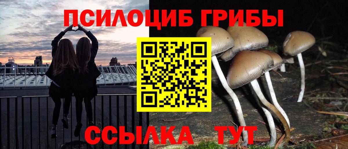 Псилоцибиновые грибы Psilocybe  Псилоцибиновые грибы мицелий  Вход с VPN  Ярославль 
