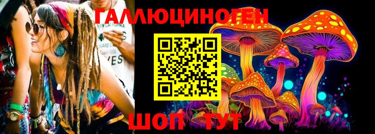 Галлюциногенные грибы Magic Shrooms Ярославль